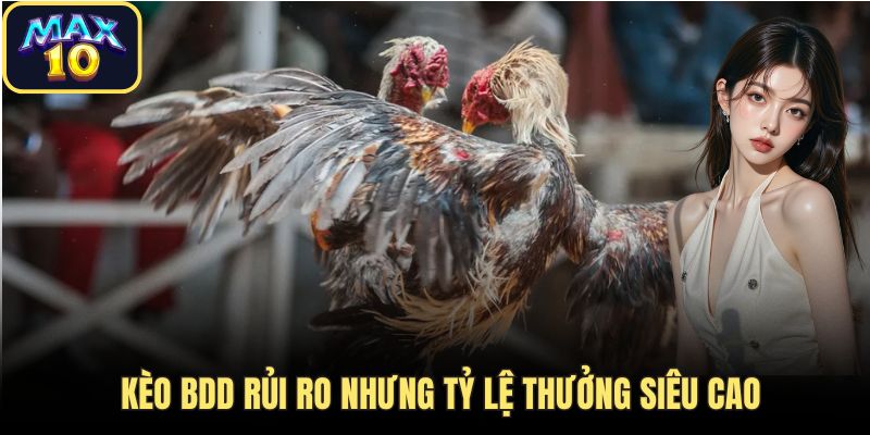 da ga max10 keo bdd thuong cao da ga max10 keo bdd thuong cao